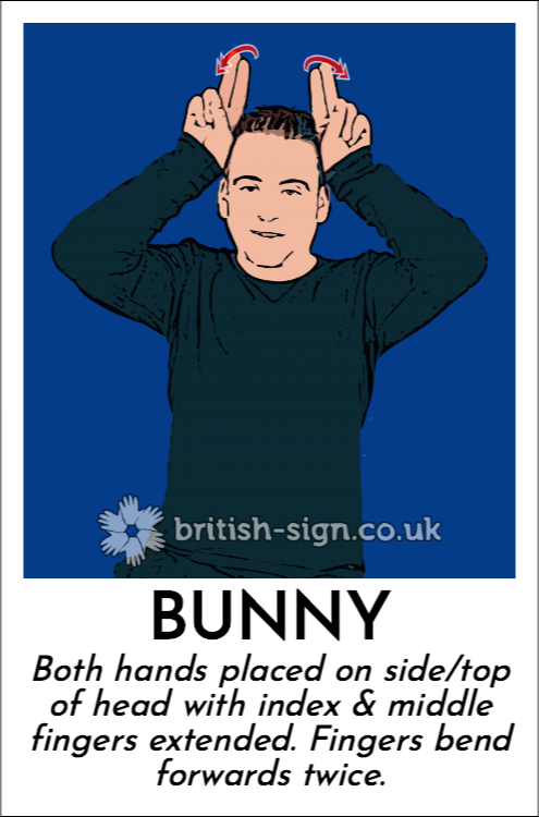 Bunny: Both hands placed on side/top of head with index & middle fingers extended.  Fingers bend forwards twice.
